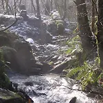 Pensión Tolare-berri Zestoa