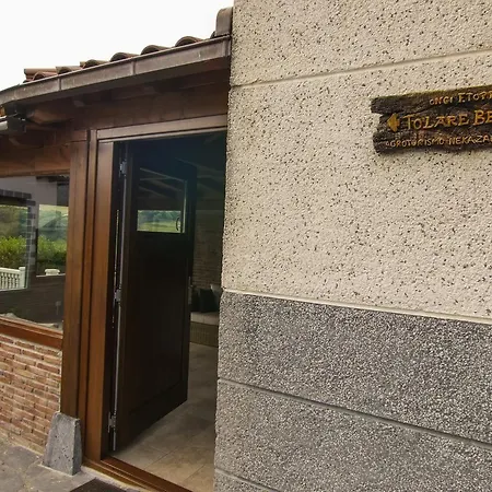 Tolare-berri Zestoa