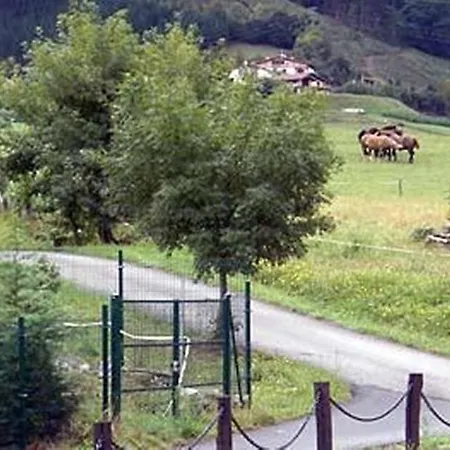 Pensión Tolare-berri