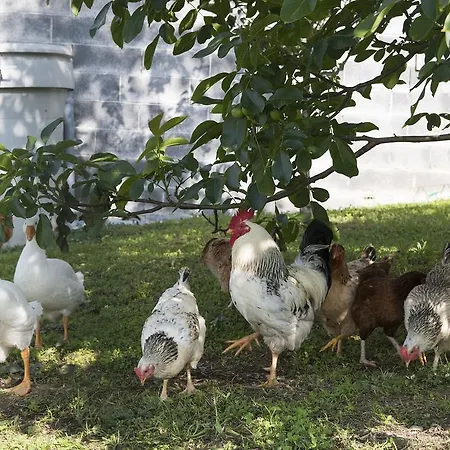 Tolare-berri Penzion 3*