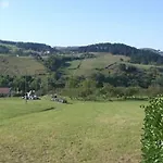 Tolare-berri Zestoa