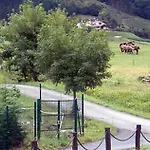 Guest house Tolare-berri