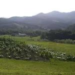 Tolare-berri