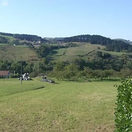 Tolare-berri Zestoa