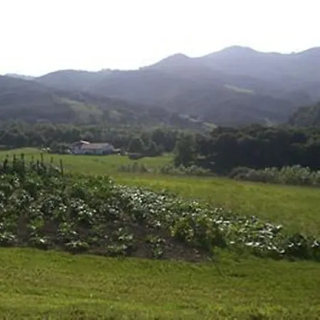 Tolare-berri