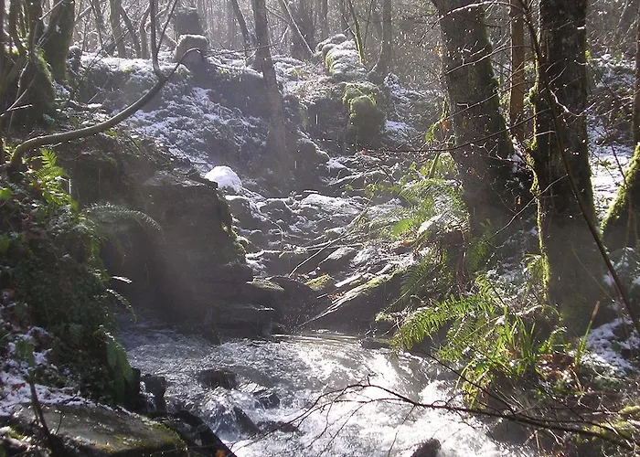 Guest house Tolare-berri Zestoa