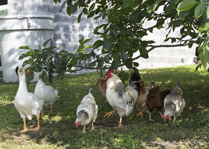 Tolare-berri Guest house 3*